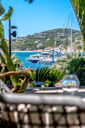 Hotel Les Palmiers - Hôtel - Sainte-Maxime