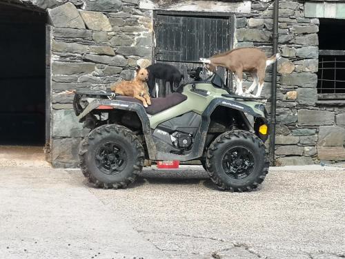 Stybeck Farm - image 3