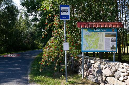 Uue-Ringi Holiday Uue-Ringi Holiday