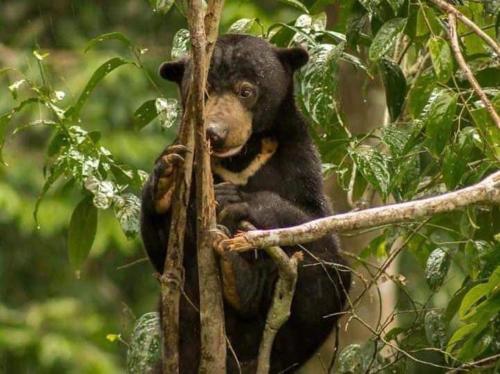 Lovely & Cozy Apt In Nature City Lovely & Cozy Apt In Nature City