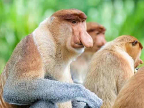 Lovely & Cozy Apt In Nature City Lovely & Cozy Apt In Nature City