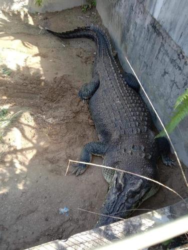 Lovely & Cozy Apt In Nature City Lovely & Cozy Apt In Nature City