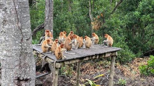 Lovely & Cozy Apt In Nature City Lovely & Cozy Apt In Nature City