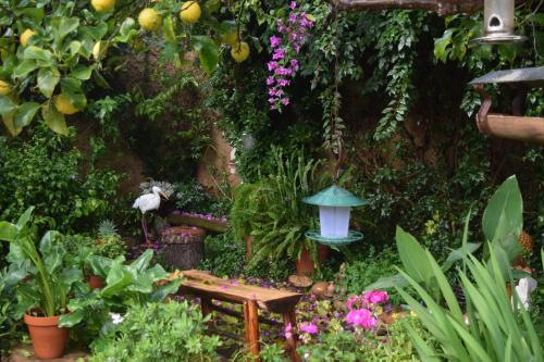 Casa Rural Don Álvaro de Luna - image 8