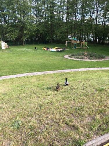 Penthouse Bernd im Waldschlösschen direkt am See