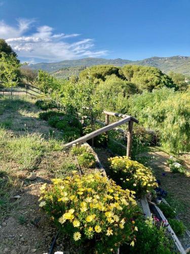 La Casa di Martina, villa con 1 piscina 1 piscina bimbi e parco giochi