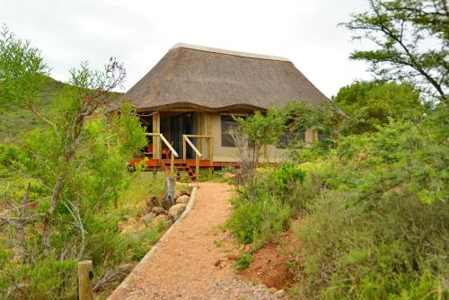 Garden Route Safari Camp