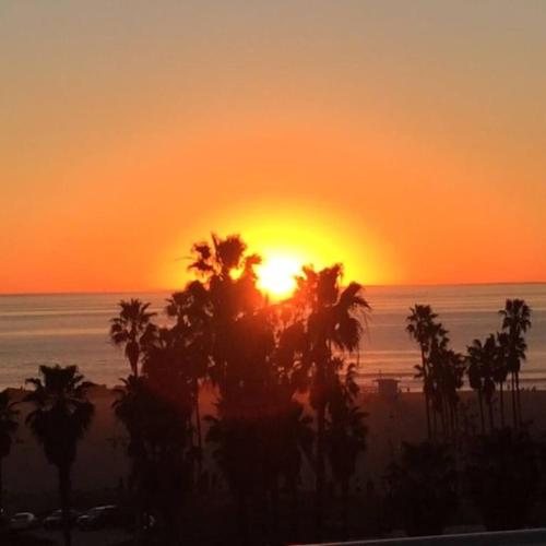 Elegant White Cottage, Venice Beach, California, Los Angeles (fotografie 6)