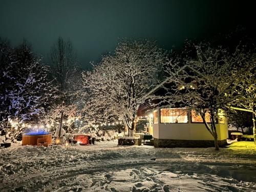 Biniște -Tiny House by the river, Dejani (fotografie 6)