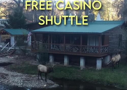 Qualla Cabins and Motel Cherokee near Casino - Accommodation - Whittier