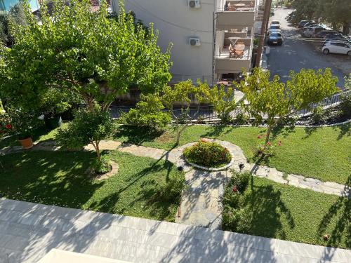 Chita's House - image 12