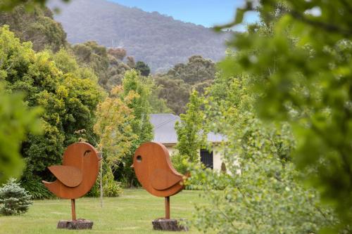 สวน, Wotama, Macedon B and B, Honour Ave, Mount Macedon in มาเซด้อน