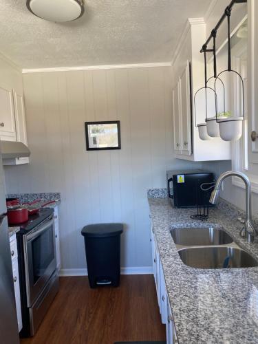 Hiker's Retreat modern 3 bedroom home with 2 baths in Travelers Rest (SC)