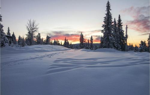 Fasilitas, Sjusjøvegen 1892 in Sjusjoen