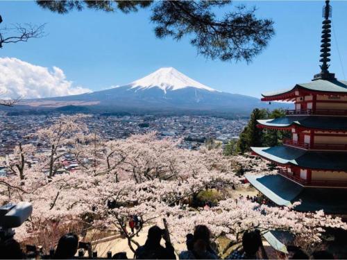 Megu Fuji 2021 | 去趣 chicTrip