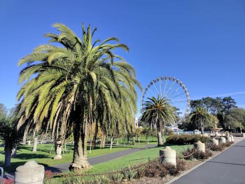 Sunny SF home, quiet, convenient w/parking