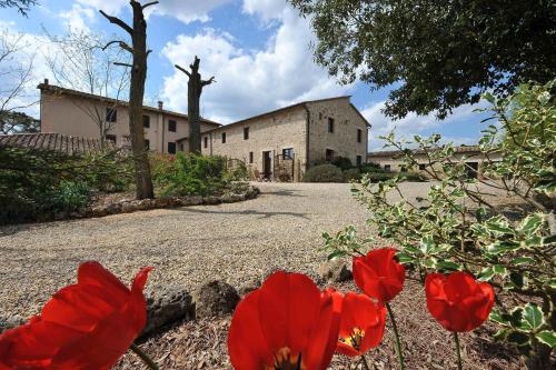 Fattoria Agriturismo Nerbona - image 6
