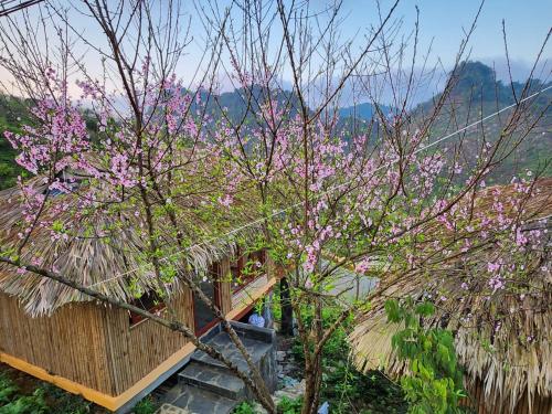 Mộc Châu Peachy Garden Homestay in Moc Chau