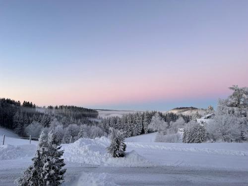 Berghotel Lenneplätze Winterberg