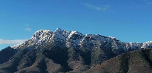 La Torretta Bianca 5