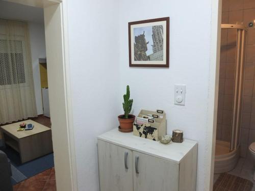 Daydream Apartment in Podgorica Daydream Apartment in Podgorica