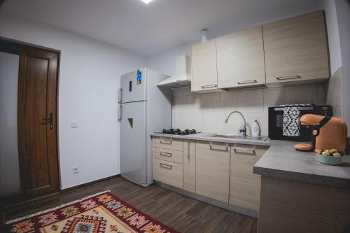 virtuve, Cabana Stânceni (Cabana Stanceni) in Panaci