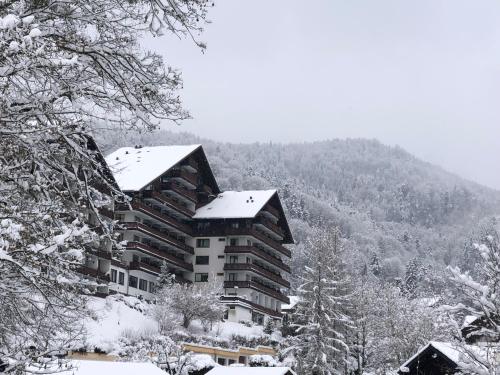 Dachstein 529 in Bad Goisern am Hallstättersee, Österreich