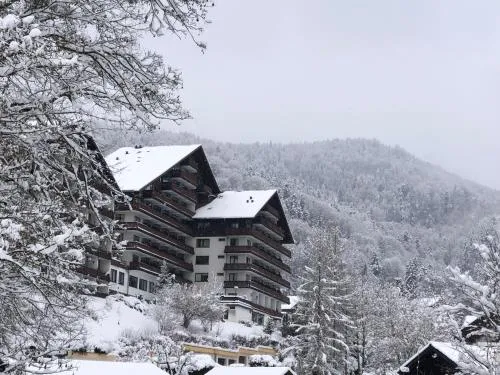 Dachstein 529 in Bad Goisern am Hallstättersee, Österreich