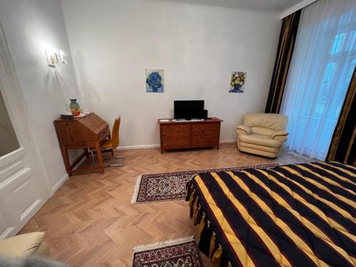 One-Bedroom Apartment image 8