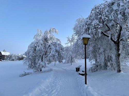 Gemütliche Ferienwohnung Harz Braunlage Hohegeiß