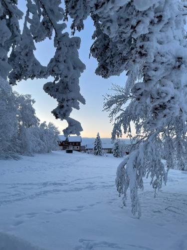 Gemütliche Ferienwohnung Harz Braunlage Hohegeiß - Sorge
