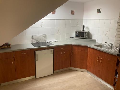 Kitchen, Svetla nad Sazavou dum s vyhledem in Svetla Nad Sazavou