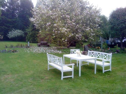 Dyrlev Bed & Breakfast - image 5
