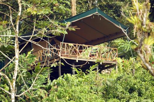 Rafiki Safari Lodge Portalon