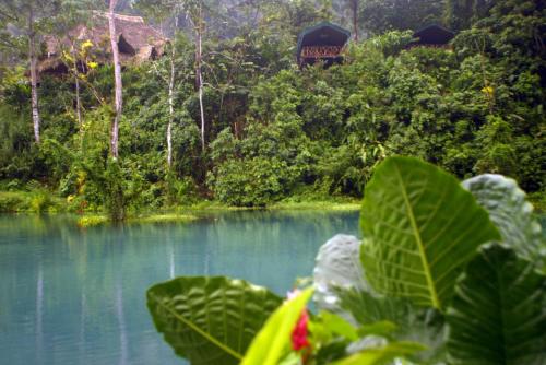 Skats, Rafiki Safari Lodge in Portalona