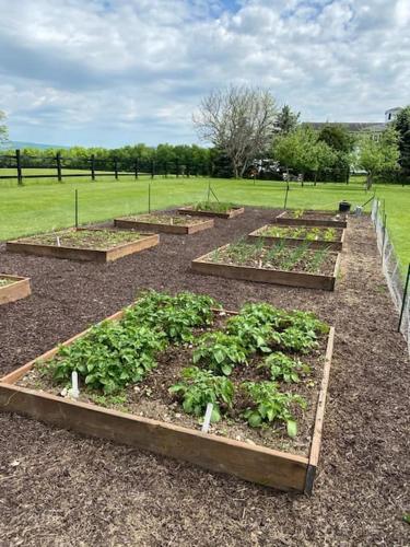 Letchworth Farm Guesthouses in Nunda, USA