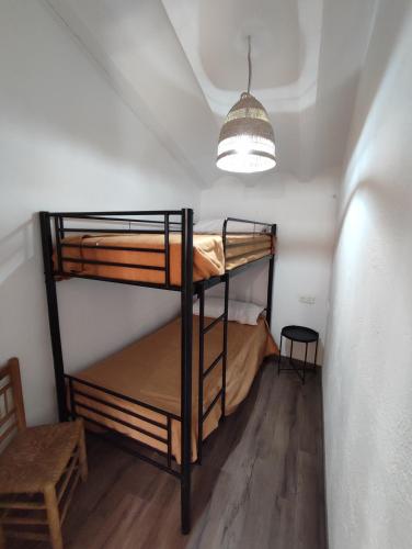 CASA DALMA