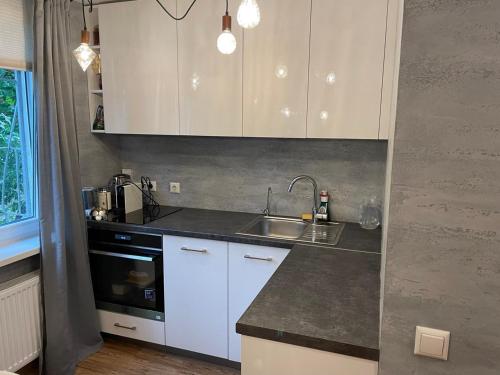 Modern Apartment suitable for longstays, Riga (foto 4)