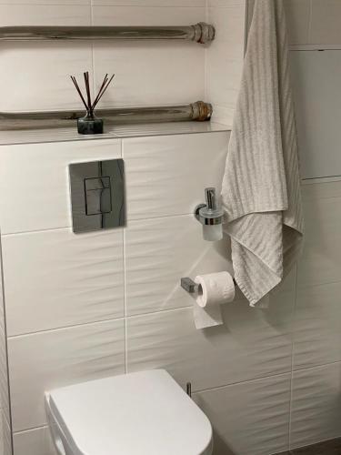 Modern Apartment suitable for longstays, Riga (foto 10)