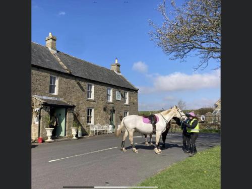 Bird In Bush Elsdon - Accommodation