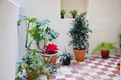 Aroura Neoclassical Home 3BR 2BA, Athen (Foto 7)