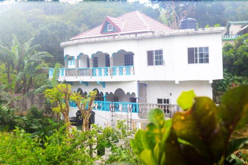 B&B Port Antonio - Robin Hood Guest House - Bed and Breakfast Port Antonio