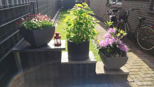 Dārzs, Business Apartment Parkplatz Glasfaser Selbst Check-in in Steinfeld (Oldenburg)