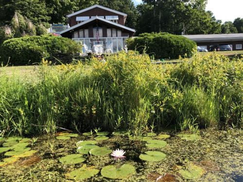 Lake Moc A Tek Inn