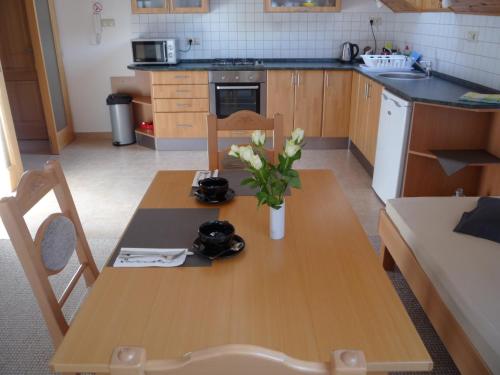 Konyha, Apartmany Graf in Chyne