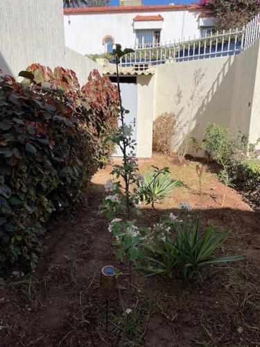 Villa Charaf in 아가디르