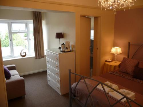 The Bernay The Bernay图片