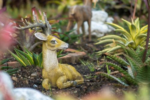 Sweeping Mountain View Retreat at La Cantane Villa