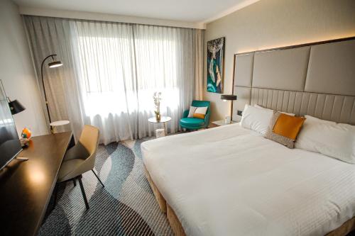 Deluxe Queen Room image 1
