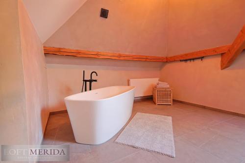 Loft Merida - Designer Apartment with Large Bathtub, Butgenbach (fotografie 7)